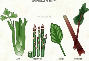 ????????????????????????