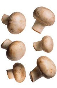 Champiñones