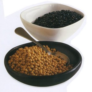 SOJA NEGRA Y AMARILLA