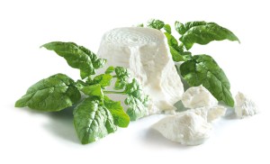 Ricotta