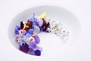 Rasmus Kofoed (plato)