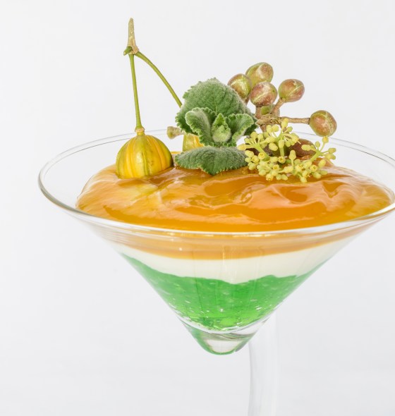 Mango yogurt gelée copia