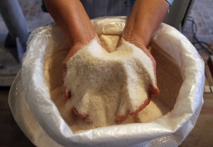 Sugar Beet Processing At OAO Razgulay Group Plant