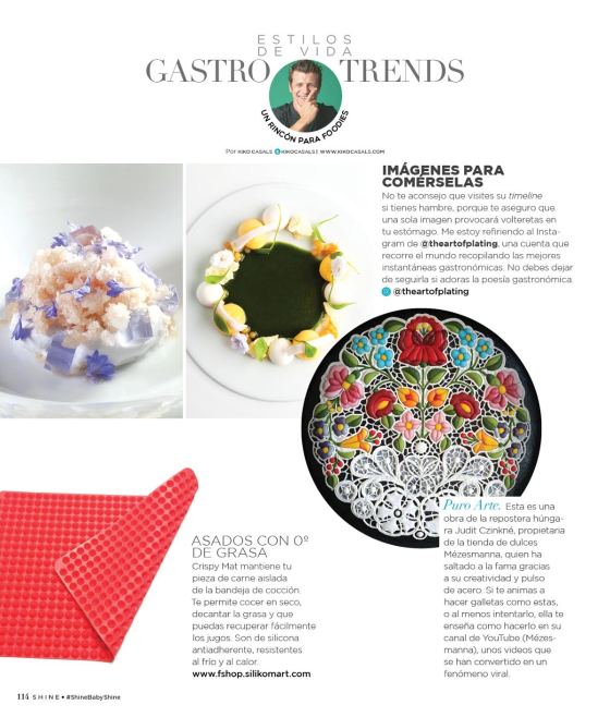 Shine (ver 16) 1 copia