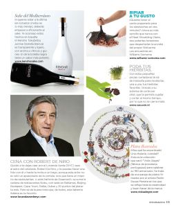 Shine (ver 16) 2 copia