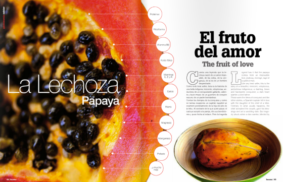 bacana-ag-16-1-copia