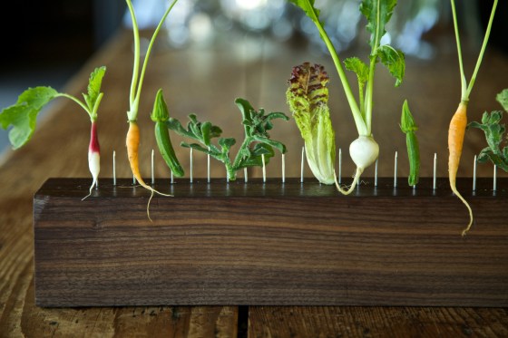 bhny-%22vegetables-on-the-fence%22-2-andre-baronowski-photographer-jpg