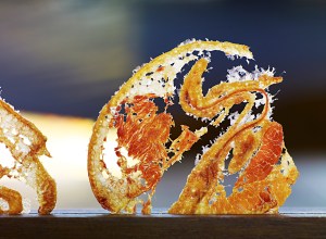 Blue Hill at Stone Barns