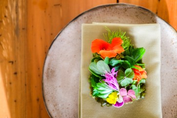 1 Tostada de Hierbas - Blaine Wetzel