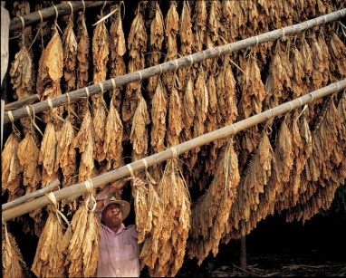 OETT.TROCKNUNG  1392