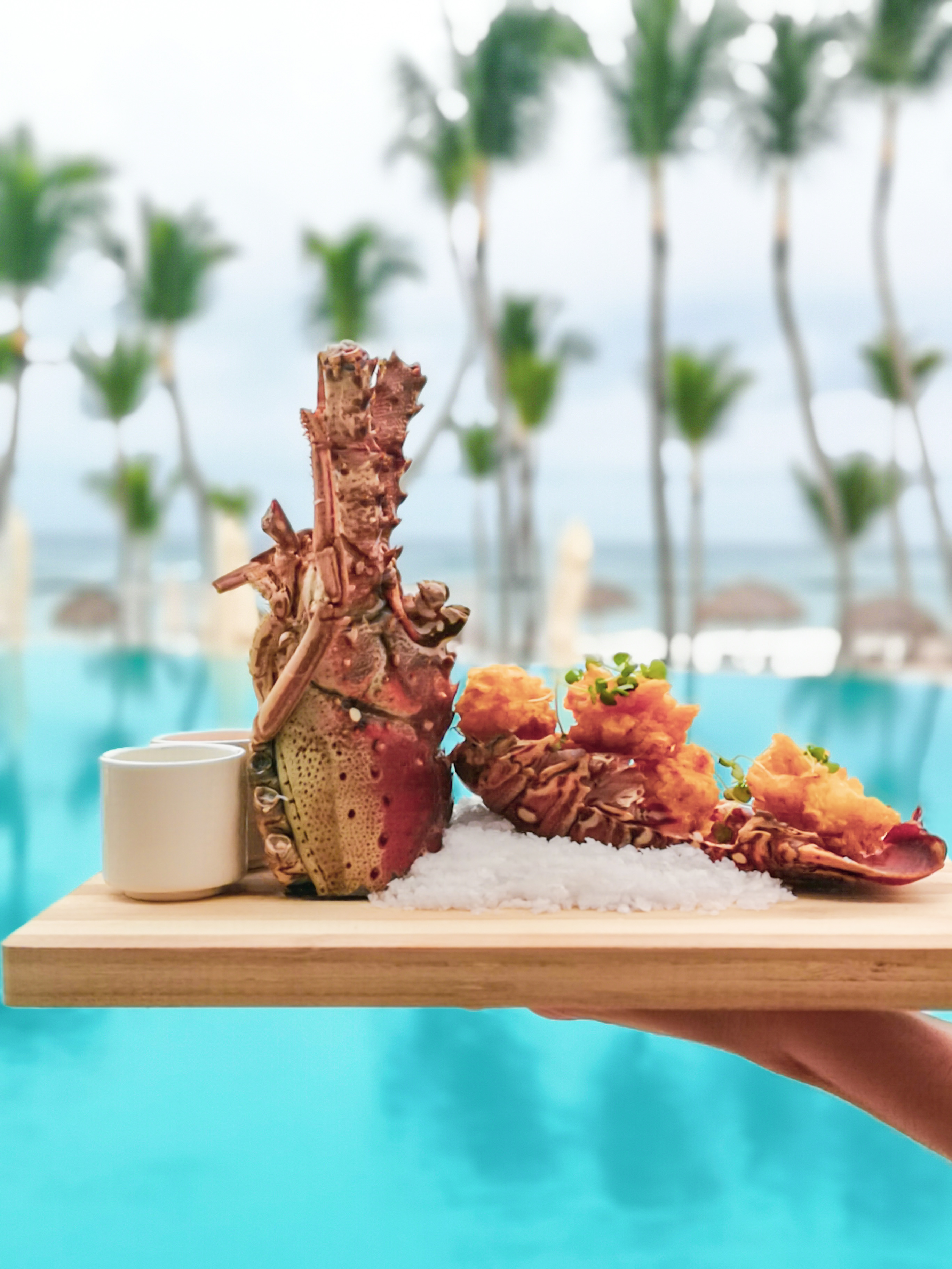 Eden Roc Menu Eden Roc Cap Cana estrena menús en todos sus Restaurantes – MakinGastronomy